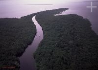 An 'igarapé' on the Negro River, Amazonia, Brazil An 'igarapé' on the Negro River, Amazonia, Brazil