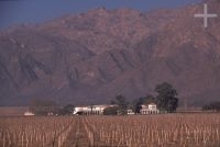 Winery ('bodega'), Cafayate, province of Salta, Argentina, the Andes Cordillera Winery ('bodega'), Cafayate, province of Salta, Argentina, the Andes Cordillera